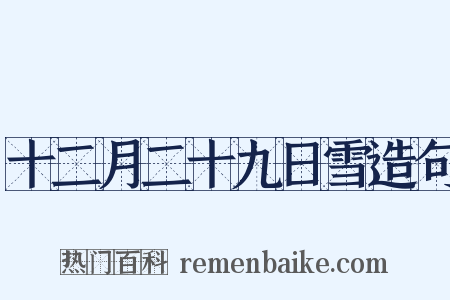 十二月二十九日雪造句是什么意思的图片
